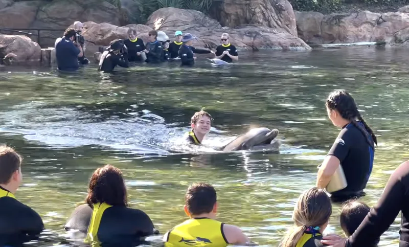 Discovery Cove beach scene, child swimming with dolphin