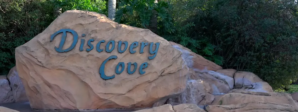 Discovery Cove Orlando 2026: Is It Worth It for UK Families?
