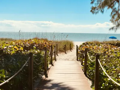 Wooden boardwalk through beach vegetation leading to sandy shore and ocean