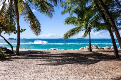 Tropical beach with palm trees, turquoise water, and surfer riding waves