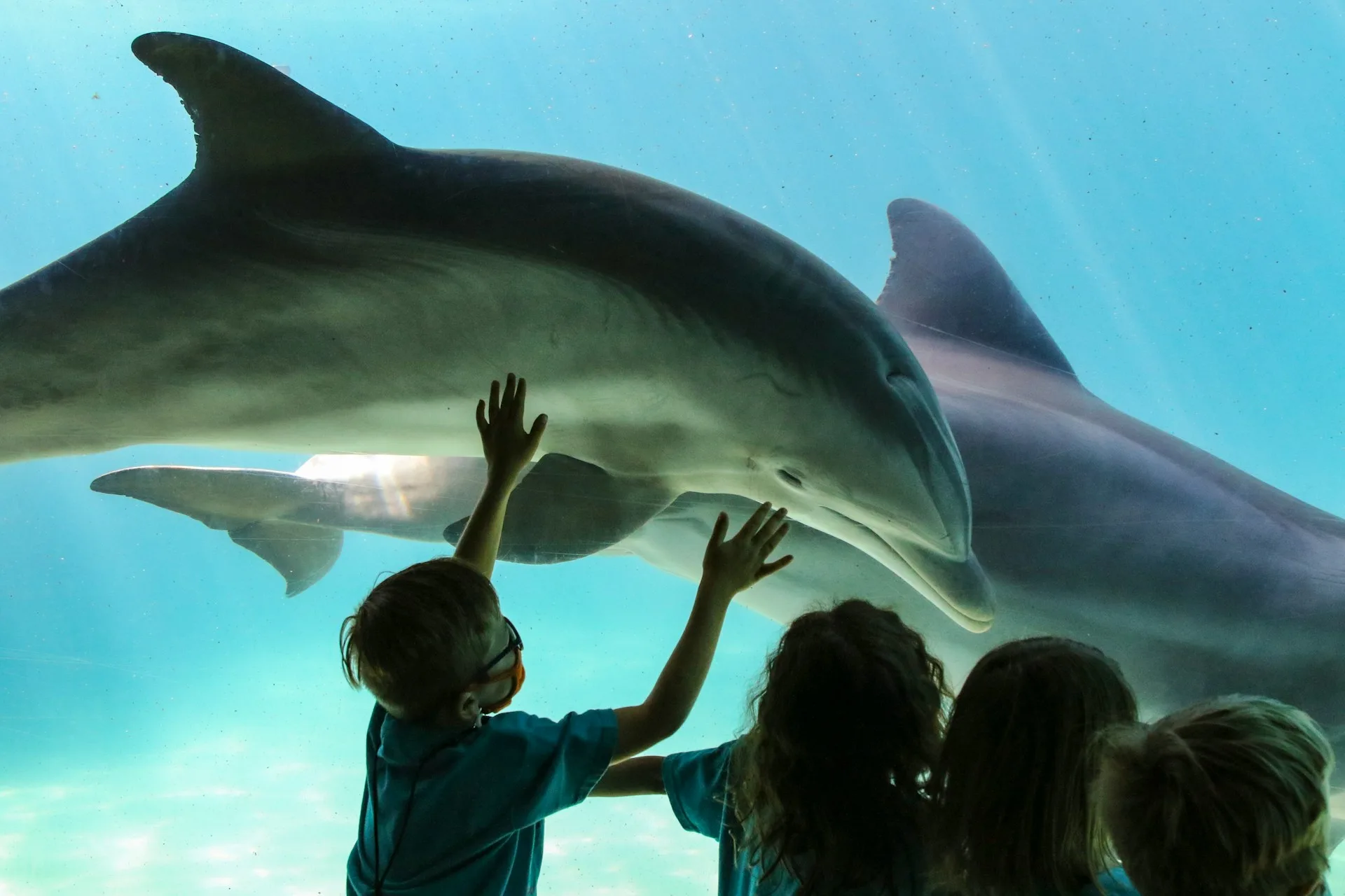 SeaWorld Orlando Florida