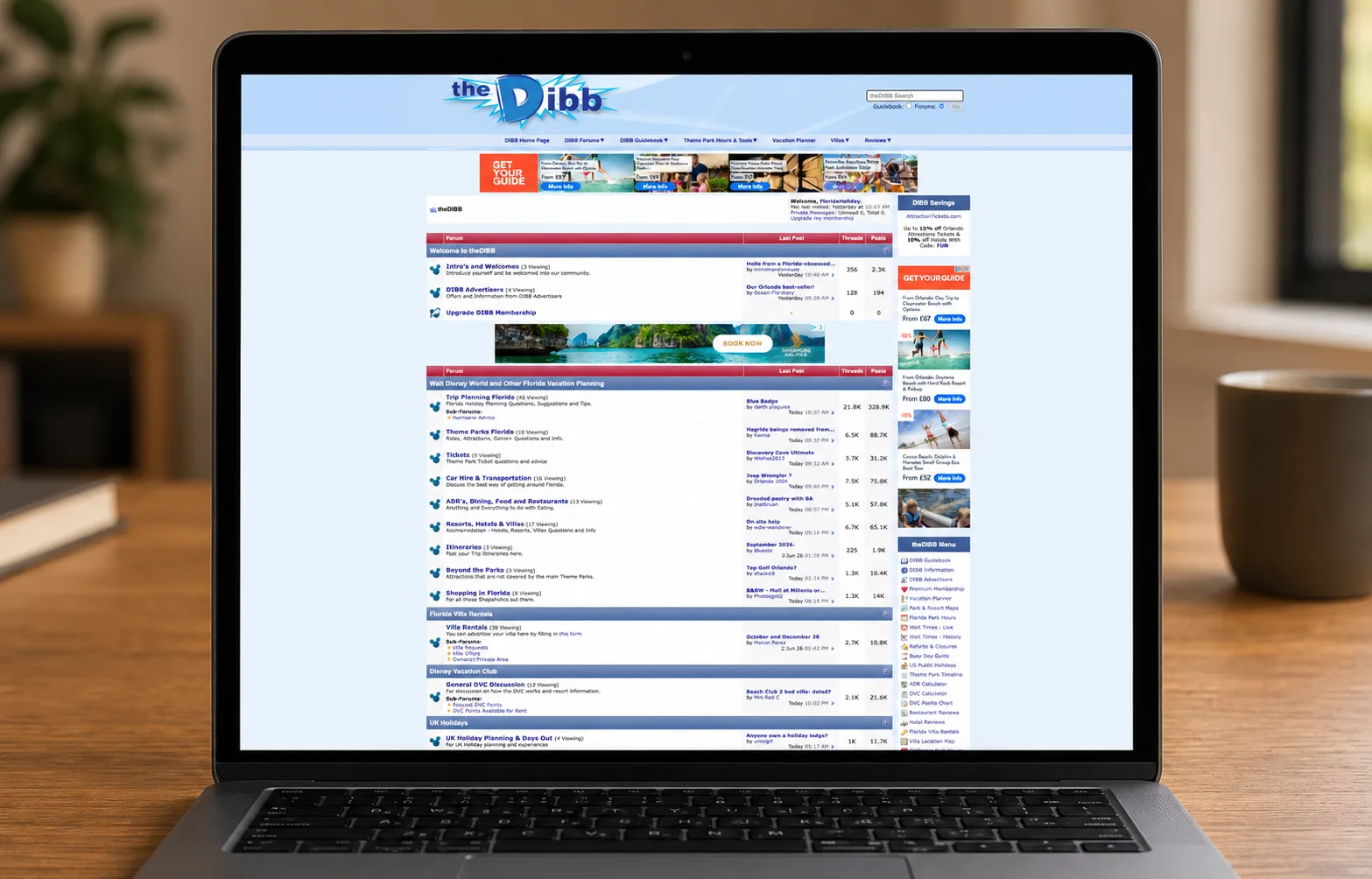 thedibb website on my laptop