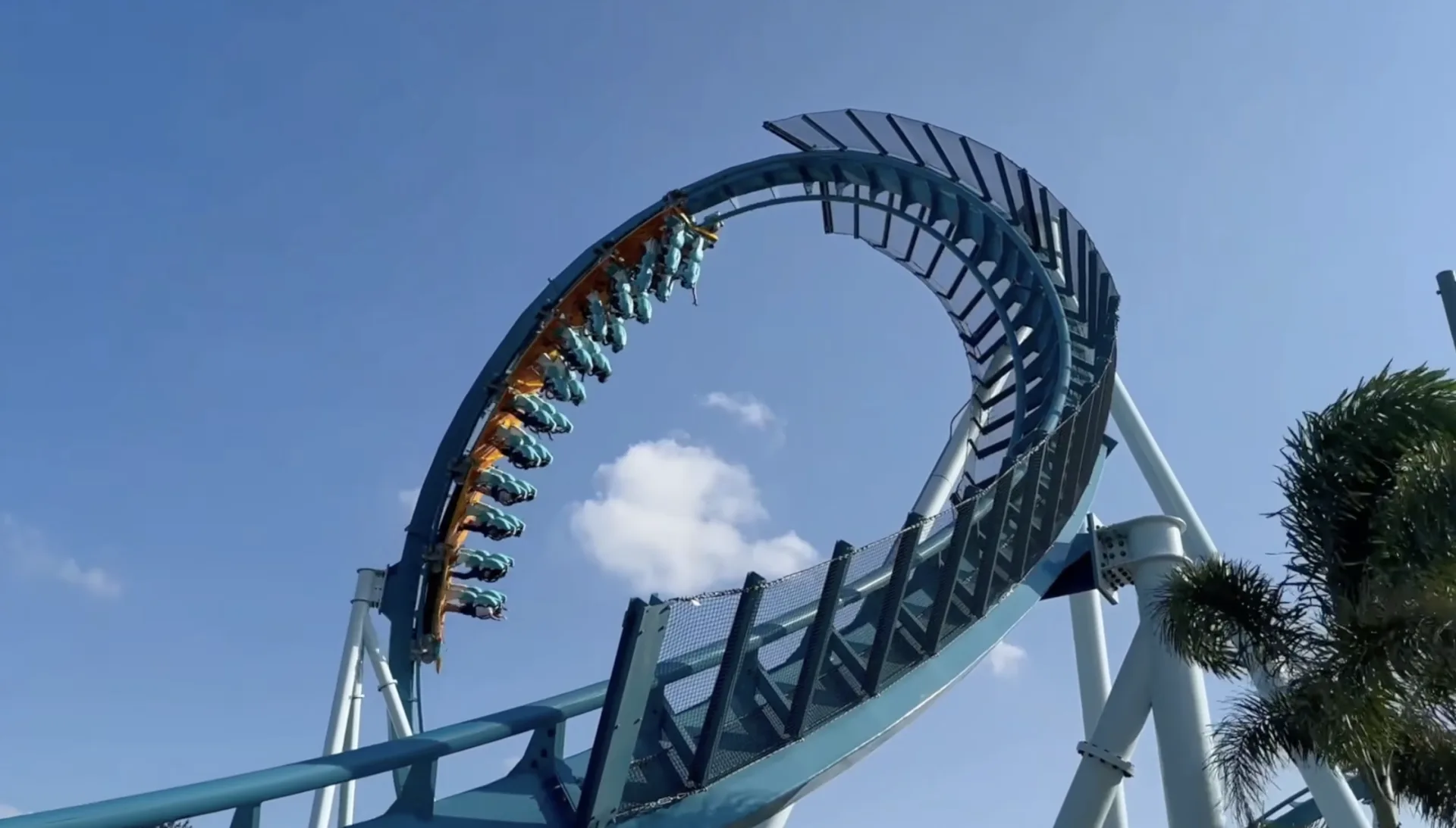 Best Orlando Parks Beyond Disney & Universal: SeaWorld, Discovery Cove, Gatorland or Legoland?